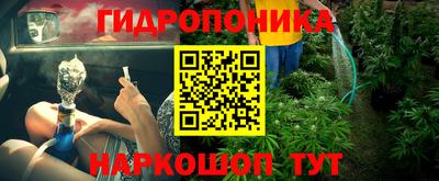 хмурый Краснознаменск