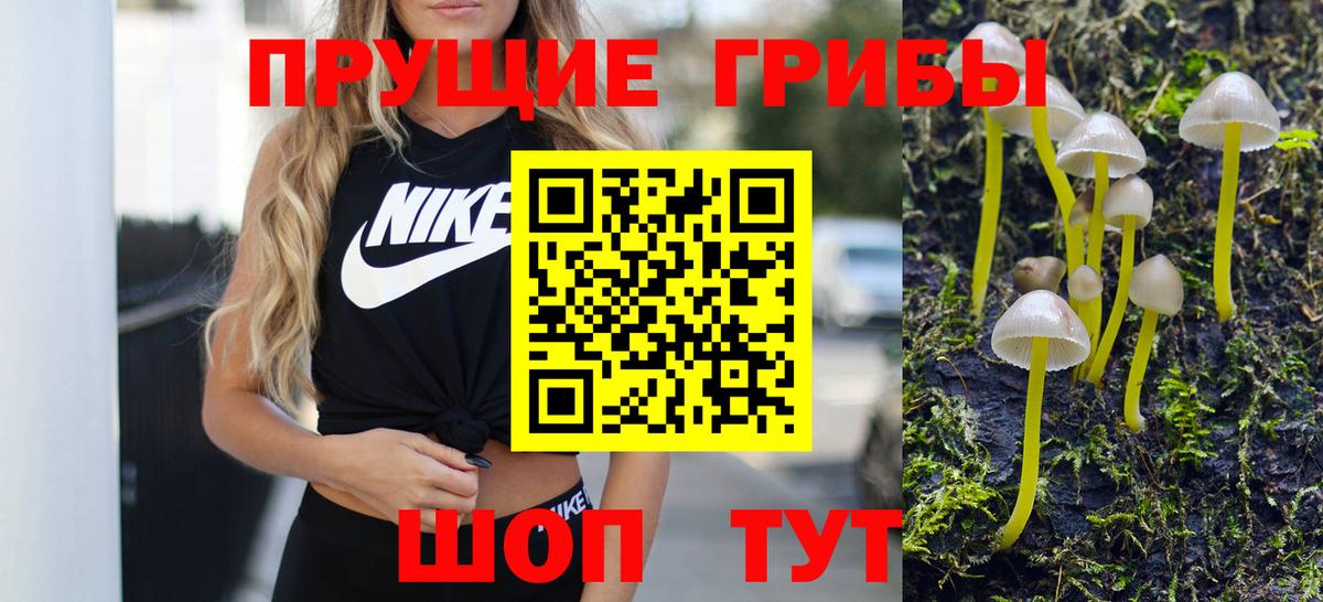Псилоцибиновые грибы Psilocybe  Галлюциногенные грибы MAGIC MUSHROOMS  Вход с VPN  Изобильный 