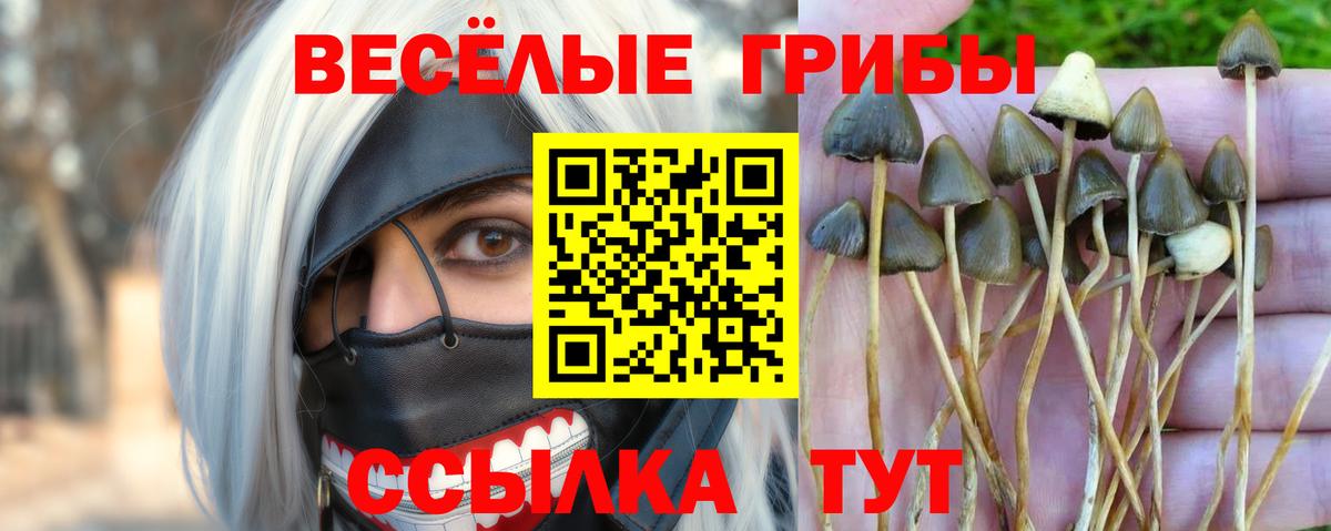 Галлюциногенные грибы GOLDEN TEACHER Изобильный